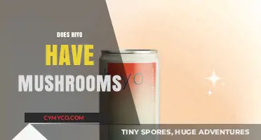 Exploring Hiyo's Ingredients: Are Mushrooms Part of the Recipe?