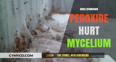 The Impact of Hydrogen Peroxide on Mycelium Growth