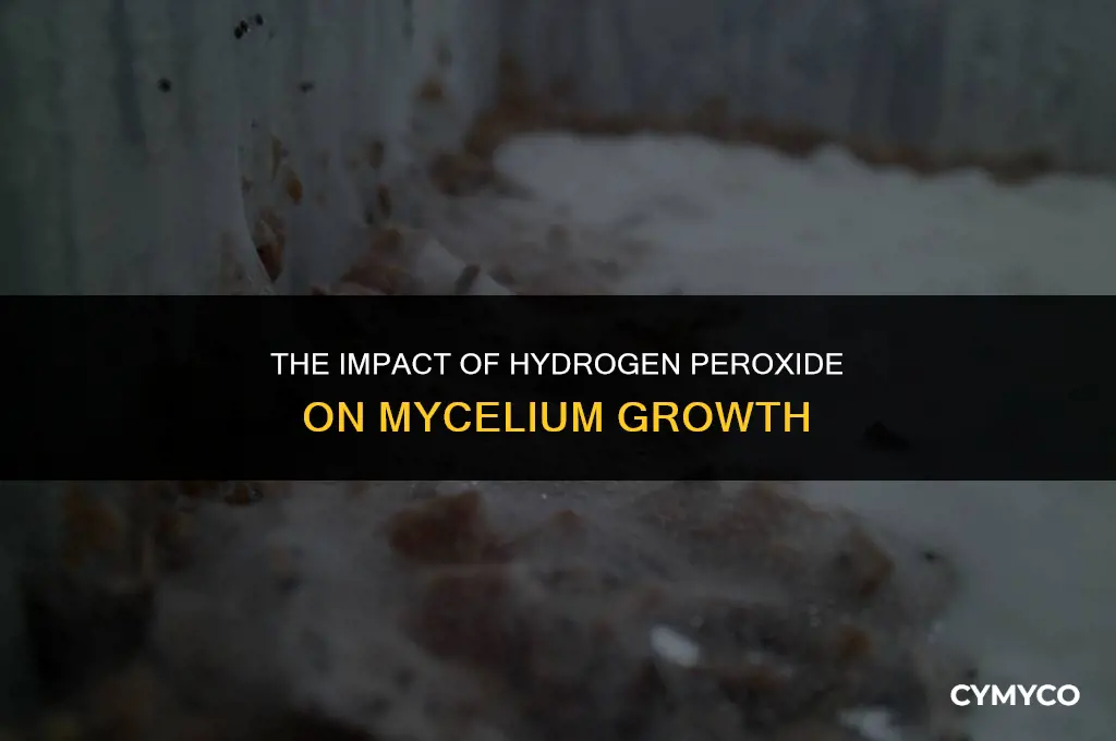 does hydrogen peroxide hurt mycelium