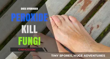 Hydrogen Peroxide's Antimicrobial Powers: Effective Against Fungi?