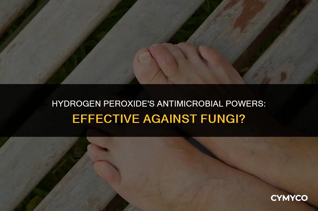 does hydrogen peroxide kill fungi