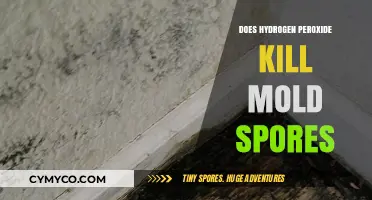 Hydrogen Peroxide's Mold-Killing Power: Fact or Fiction?