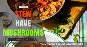 Exploring Traditional Irish Stew: The Mushroom Mystery Unveiled