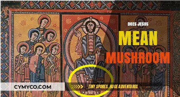 Exploring the Controversial Claim: Jesus and the Mushroom Connection