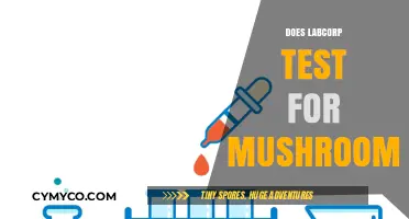 Exploring LabCorp's Drug Testing: Do Mushrooms Show Up?