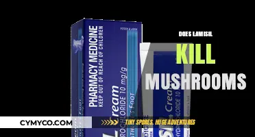 Exploring Lamisil's Effectiveness Against Fungal Infections