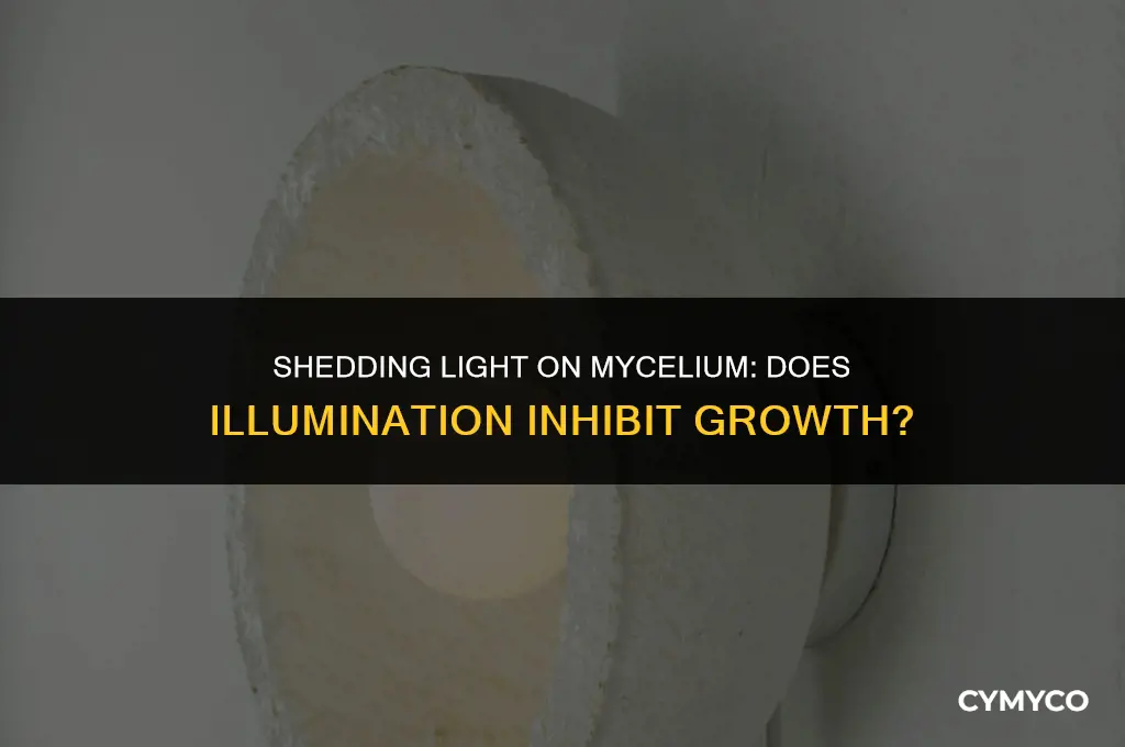 does light kill mycelium