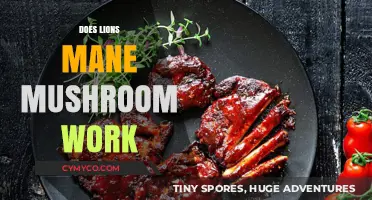 Exploring the Potential Benefits of Lion's Mane Mushroom