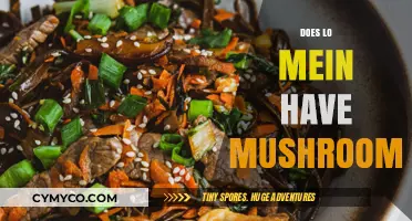 Exploring Lo Mein: A Journey Through Noodles and Mushrooms