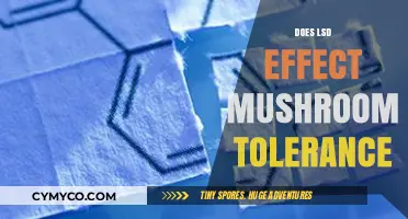 Exploring the Cross-Tolerance Between LSD and Mushrooms: A Comprehensive Guide