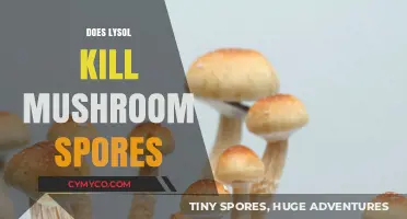 Lysol's Efficacy Against Mushroom Spores: A Comprehensive Guide