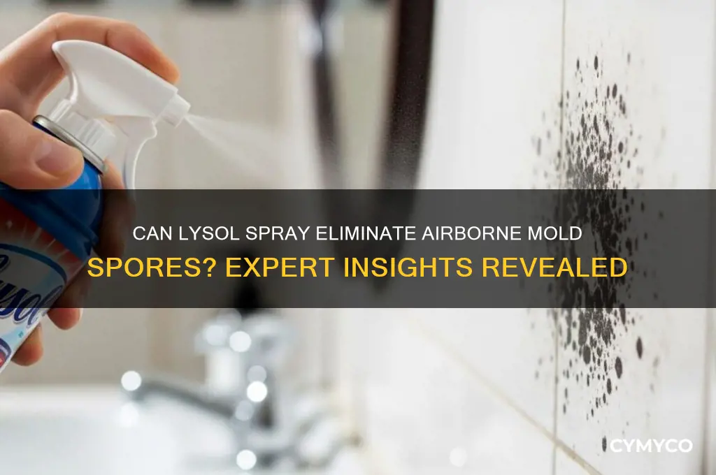 does lysol spray kill mold spores in the air