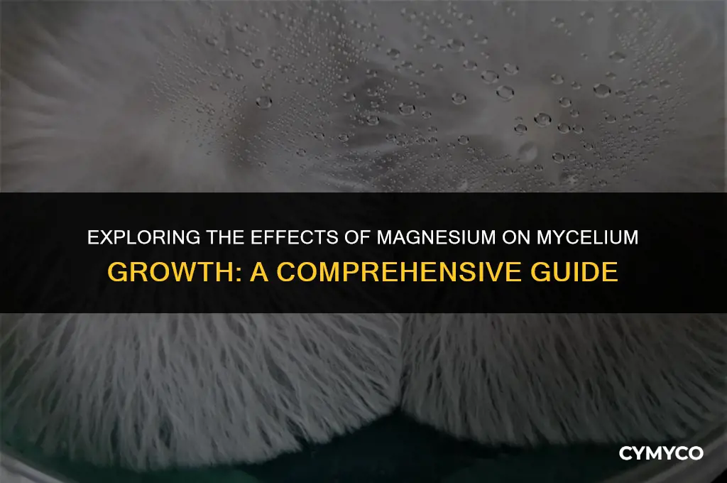 does magnesium retard mycelium growth