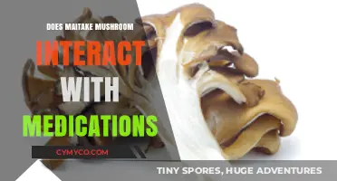 Exploring Maitake Mushroom's Potential Interactions with Medications