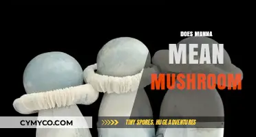 Exploring the Myth: Does Manna Really Mean Mushroom?