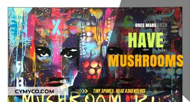 Exploring the Red Planet: The Fascinating Search for Mushrooms on Mars