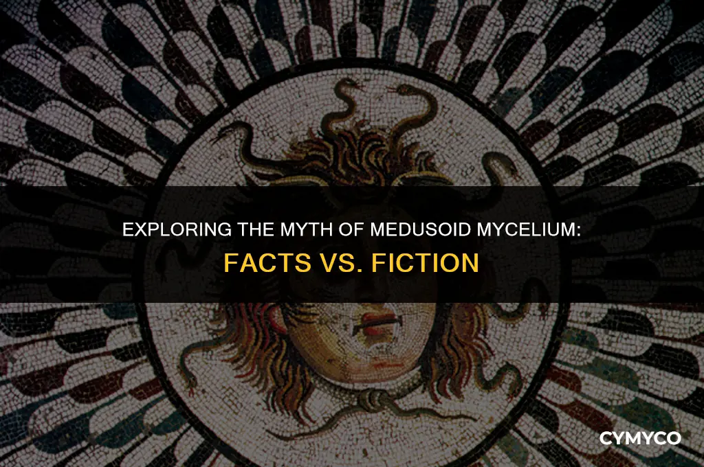does medusoid mycelium exist