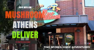 Exploring Delivery Options: Mellow Mushroom Athens' Service Unveiled