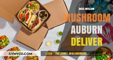 Exploring Mellow Mushroom Auburn's Delivery Options: A Comprehensive Guide