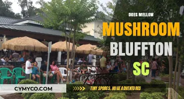 Exploring the Mellow Mushroom Scene in Bluffton, SC