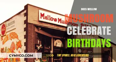 Mellow Mushroom's Birthday Bash: A Fun-Filled Celebration!