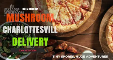 Exploring Mellow Mushroom Charlottesville's Delivery Options: A Comprehensive Guide