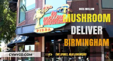 Exploring Mellow Mushroom's Delivery Options in Birmingham