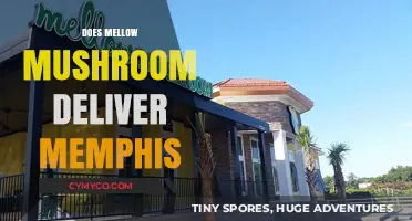 Exploring Mellow Mushroom's Delivery Options in Memphis: A Complete Guide