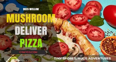 Savor the Flavor: Mellow Mushroom's Pizza Delivery Delights