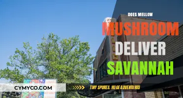 Savoring Savannah: Does Mellow Mushroom Deliver?