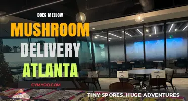 Exploring Atlanta's Food Scene: Does Mellow Mushroom Deliver?