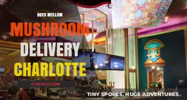 Exploring Mellow Mushroom's Delivery Options in Charlotte: A Comprehensive Guide