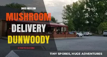 Savor the Flavor: Mellow Mushroom's Dunwoody Delivery Delights