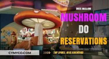 Exploring Mellow Mushroom's Reservation Policy: A Complete Guide