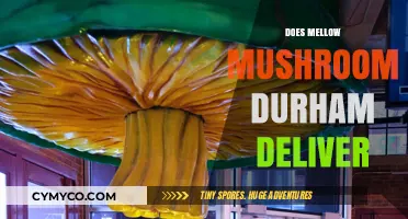 Exploring Delivery Options: Mellow Mushroom Durham's Service Unveiled