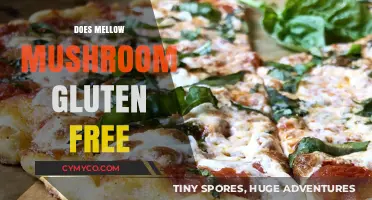 Exploring Gluten-Free Options at Mellow Mushroom: A Delicious Journey