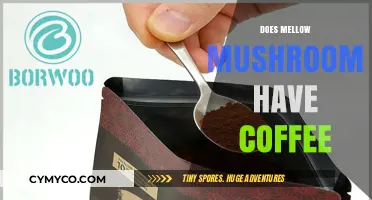 Savoring the Flavor: Does Mellow Mushroom Serve Coffee?