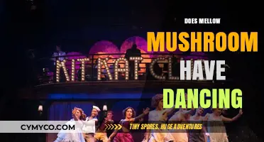 Exploring the Groovy Ambiance of Mellow Mushroom: Does It Include Dancing?