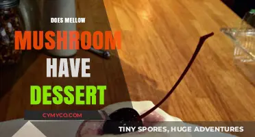 Savoring Sweetness: Exploring Mellow Mushroom's Dessert Delights