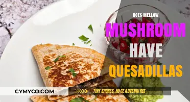 Savoring Comfort: Do Mellow Mushroom's Quesadillas Hit the Spot?