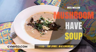 Exploring Mellow Mushroom's Menu: Soup Options Uncovered