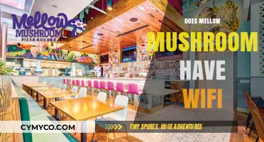 Stay Connected: Does Mellow Mushroom Offer WiFi?