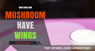 Exploring the Menu: Do Mellow Mushroom's Wings Fly High?