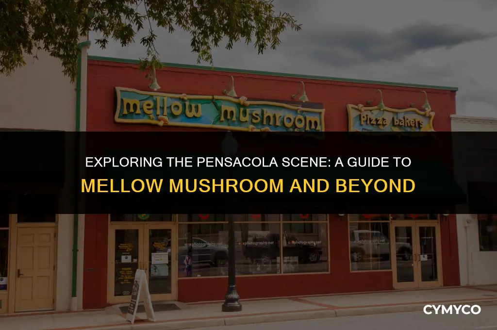 does mellow mushroom pensacola
