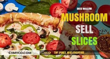 Savoring Convenience: Does Mellow Mushroom Offer Pizza by the Slice?