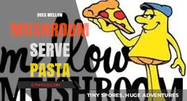 Exploring Mellow Mushroom's Menu: Pasta Options and More