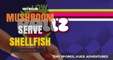 Exploring Mellow Mushroom's Menu: Shellfish Options and More