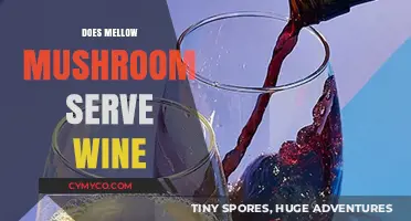 Savoring the Flavor: Does Mellow Mushroom Serve Wine?