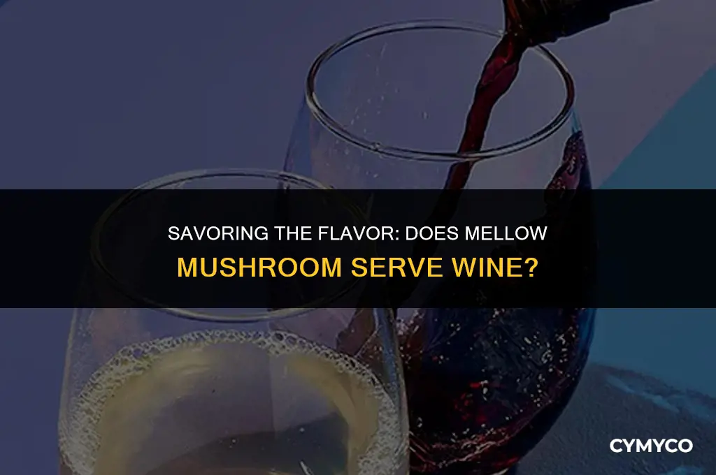 does mellow mushroom serve wine