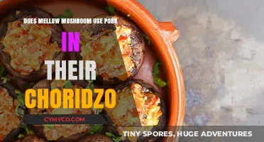 Exploring Mellow Mushroom's Chorizo: Pork-Free or Not?